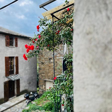 Tres Jolie Maison Aux Portes Du Cap Corse Sisco Exterior foto