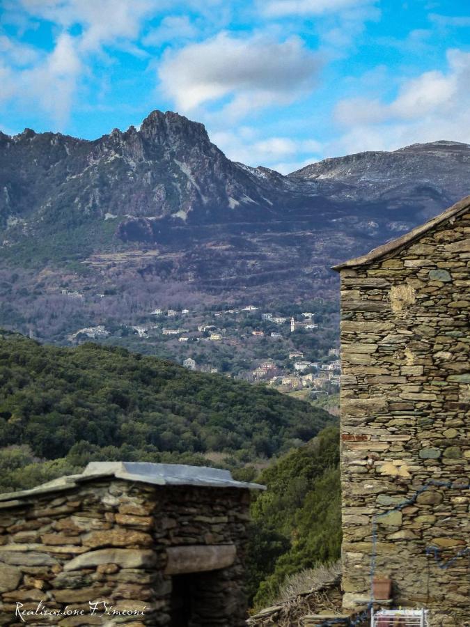 Tres Jolie Maison Aux Portes Du Cap Corse Sisco Exterior foto