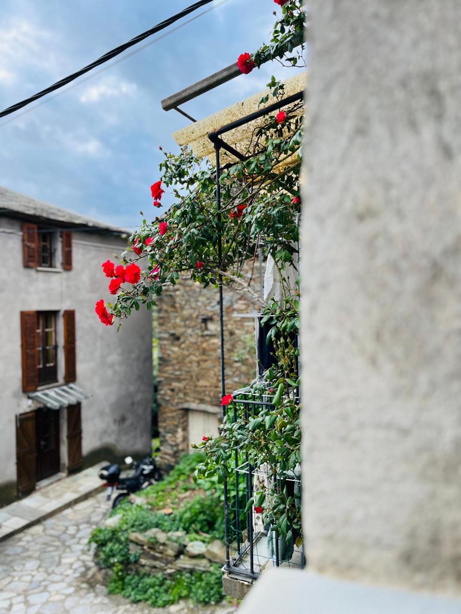 Tres Jolie Maison Aux Portes Du Cap Corse Sisco Exterior foto